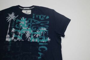 【古着アメリカンイーグルアウトフィッターズプリントロゴTシャツ紺色L】AMERICANEAGLE OUTFITTERSニューヨークアメカジ