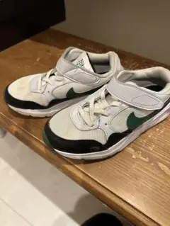 Nike エア スニーカー グレー/グリーン　20