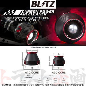 BLITZ ブリッツ エアクリ スカイライン HV35/PV35 VQ30DD/VQ35DE カーボンパワーエアクリーナー 35030 トラスト企画 ニッサン (765121827