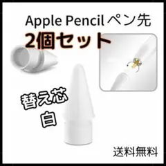 ☆Apple pencil ペン先 アップル ペンシル 替え芯 2個 白