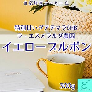 甘い！グアテマラのイエローブルボン！ラ・エスメラルダ農園　300g 香り高く、コク深い