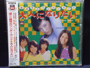 ★送料無料★漣健児のワンダーランド〇大人になりたい〇　山口百恵、南沙織、キャンディーズほか　帯付き