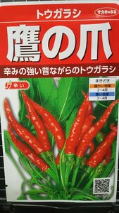 ３袋セット 鷹の爪 タカノツメ トウガラシ 種 郵便は送料無料