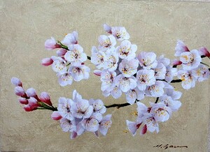 油彩画 洋画 (油絵額縁付きで納品対応可) P20号 「桜」 安田 英明