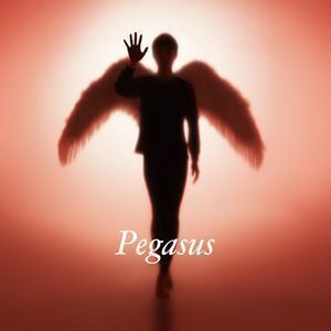 Pegasus（初回生産限定盤） 布袋寅泰