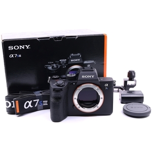 ＜ほぼ新品＞ソニー SONY α7SIII ボディ ILCE-7SM3 シャッター数8957枚！