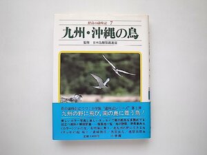 野鳥の歳時記〈7〉九州・沖縄の鳥（マナヅル/カンムリワシ/ナベヅル/ノグチゲラ/ヤンバルクイナ他）