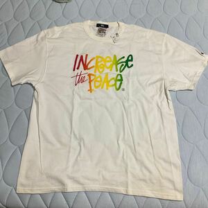 長期間展示品　日焼け黄ばみ有　新品　チャンピオンベース　2004 湘南チヤプトTシャツ　ステューシー　白　サイズL Shonan chapter