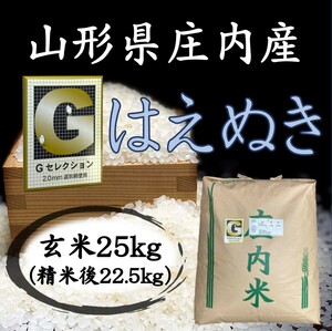 □Ｇセレクション♪新米！令和６年産！山形庄内産はえぬき 玄米２５kg（白米２２．５kg）送料無料