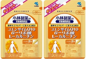 30日分×2袋 小林製薬の栄養補助食品 コエンザイムQ10 α-リポ酸 L-カルニチン