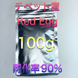 『新入荷』チベット産 REDegg ブラインシュリンプ　ベトナム産並みの便利さ　100g