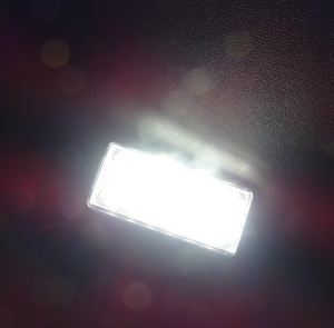 鬼白光! 一体型交換式 ! LED ナンバー灯 ライセンス ランプ　ランドクルーザー 100系 200系 UZJ100W HDJ101K URJ202W ランクル