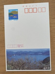 額面41円はがき　エコーはがき　未使用はがき　広告はがき　三方五湖をのぞむ梅林　福井県