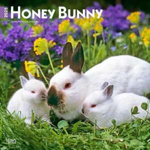 ★新品★送料無料★ うさぎ 2025 カレンダー★Honey Bunny