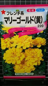 マリーゴールド フレンチ系 黄 種 郵便は送料無料