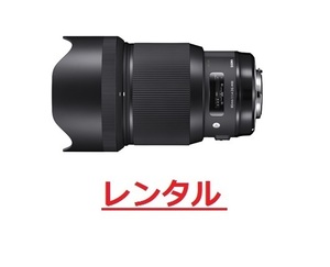 【レンタル4日間】Sigma 85mm F1.4 DG HSM [キヤノン用]