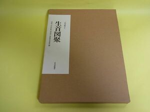 三代目☆彫よし☆生首図聚☆出版社ストック品☆入れ墨Tattoo☆中古品