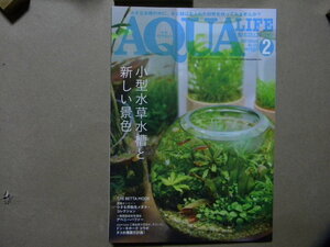 ◎アクアライフ №523 2023年2月号●小型水草水槽と新しい景色～水草レイアウト/アクアプランツ●小さな卵生メダカ/他●アクアリウム