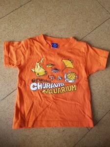 中古　美ら海水族館 Tシャツ 100 オレンジ 使用感あり ※ ジンベイザメ・チンアナゴ等…