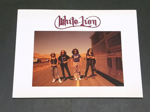 ホワイト・ライオン Official Picture Book 写真集 ビクター音楽産業 WHITE LION Big Game tour in U.S.A William Hames