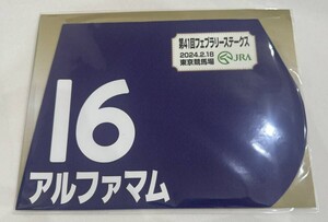 アルファマム 2024年フェブラリーステークス ミニゼッケン 未開封新品 レイチェル・キング騎手 佐々木晶三 平井裕