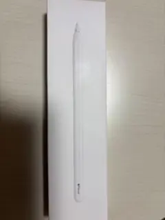 ＊芽衣様専用Apple Pencil (第2世代)