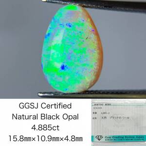 ブラックオパール 4.885ct 宝石ソーティング付き 15.8×10.9×4.8 ルース（ 裸石 ） 3193S