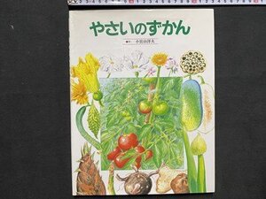 ｃ※　やさいずかん　作・小宮山洋夫　1996年15刷　岩崎書店　子どもから大人まで　野菜 図鑑　/　N78