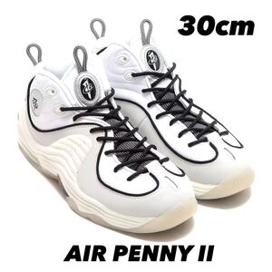 NIKE AIR PENNY II WHITE/PHOTON DUST-BLACK-SAIL FB7727 100 30cm