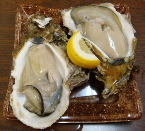 紀伊半島・奥伊勢産　大きな天然岩牡蠣（岩かき）　生食可　30個入りセット