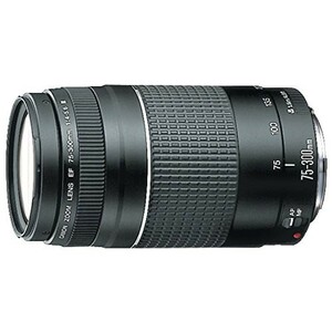 Canon EFレンズ EF75-300mm F4-5.6 IIIズームレンズ 望遠 並行輸入品