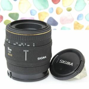 ◇広角単焦点レンズ ◇SIGMA シグマ 50mm F2.8 ◇ソニー SONY Aマウント