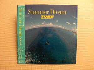 ＊【LP】チューブ／Summe Dream（28AH2187）（日本盤）シュリンク付 ステッカー付