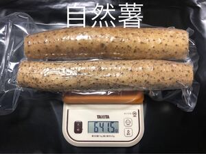 栃木県産 自然薯 600g以上 真空パック