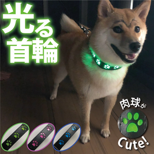 光る首輪 グリーンS 犬 散歩 肉球 LEDライト 夜 夜道 ペット USB充電 軽量 抗菌 安心 安全 事故防止 サイズ調節可能