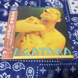 完全生産限定盤 (取) 紙ジャケット JAGATARA Blu-specCD2/それから 