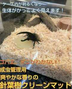 爽やかな香りの針葉樹マット【5袋】クワガタ、カブトムシの成虫飼育はコレ！ケース内が明るくなり生体がカッコ良く見える！ダニ防止にも