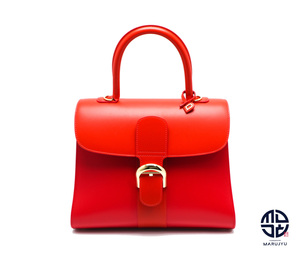 DELVAUX デルヴォー Brillant ブリヨンMM 2WAYハンドバック ※チェーンショルダー付き