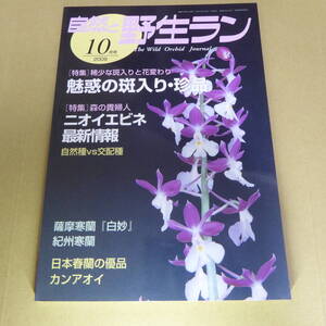 ＹＮ1-240911☆自然と野生ラン 2009年10月号　※ エビネ 寒蘭 春蘭 カンアオイ ※ 園芸JAPAN