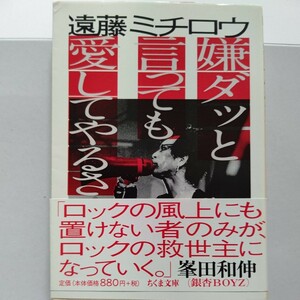 美品希少　嫌ダッと言っても愛してやるさ！ 遠藤ミチロウ　吉本隆明　峯田和伸　忌野清志郎　RCサクセション　スターリン　パンクロック他