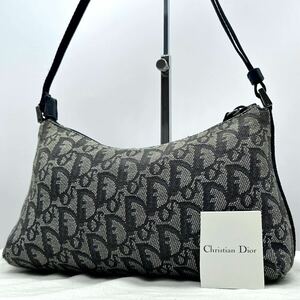 67-59●美品 廃盤入手困難● Christian Dior クリスチャンディオール アクセサリーポーチ ハンドバッグ トロッター 金具 オブリーク レザー