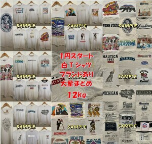 【1円スタート】ALL WHITE Tシャツ 大量12kg まとめ買い アメリカ輸入 アメカジ US 古着 目玉商品 ブランド物 仕入れ 卸 大特価