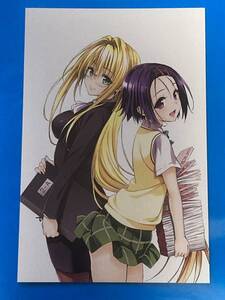  To LOVEる　とらぶる　 原画展 ポストカード　Afg-3 （検索） ヤミ ララ モモ　美柑 春菜 ナナ 唯　メア