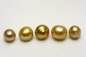 南洋白蝶真珠パールルース　両穴　5ピース　10-9mm　ナチュラルゴールドカラー
