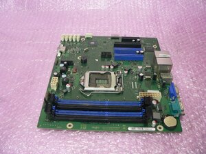 富士通 PRIMERGY TX1310 M1 マザーボード D3219-A11 GS2 動作品