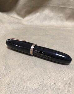 special medium pen 万年筆　太い万年筆