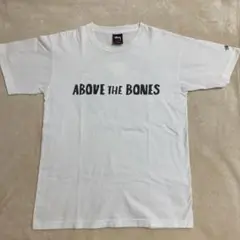 STUSSY  ステューシー  ABOVE THE BONES  ラスタTシャツ