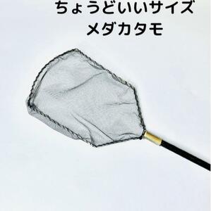 大好評　ちょうど良いサイズのタモ・改　網　メダカ　金魚　熱帯魚