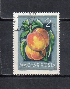 209081 ハンガリー 1954年 農業博覧会 (6) 2F 使用済