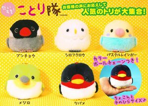 非売品★だいすき！ことり隊★ボールチェーンマスコット【全５種セット】ブンチョウ/シロフクロウ/パステルレインボー/メジロ/ツバメ